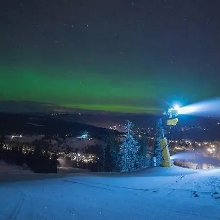 Krystallen Leilighet Kvitfjell